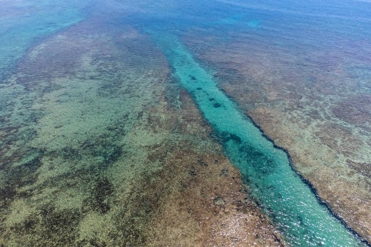 Perla Marina Lägenhet Torre Pali Exteriör bild